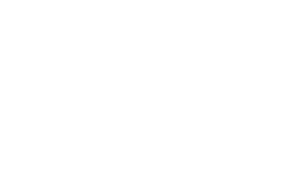 PGinformatique